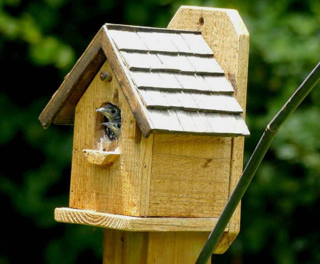 A close up of a birdhouse